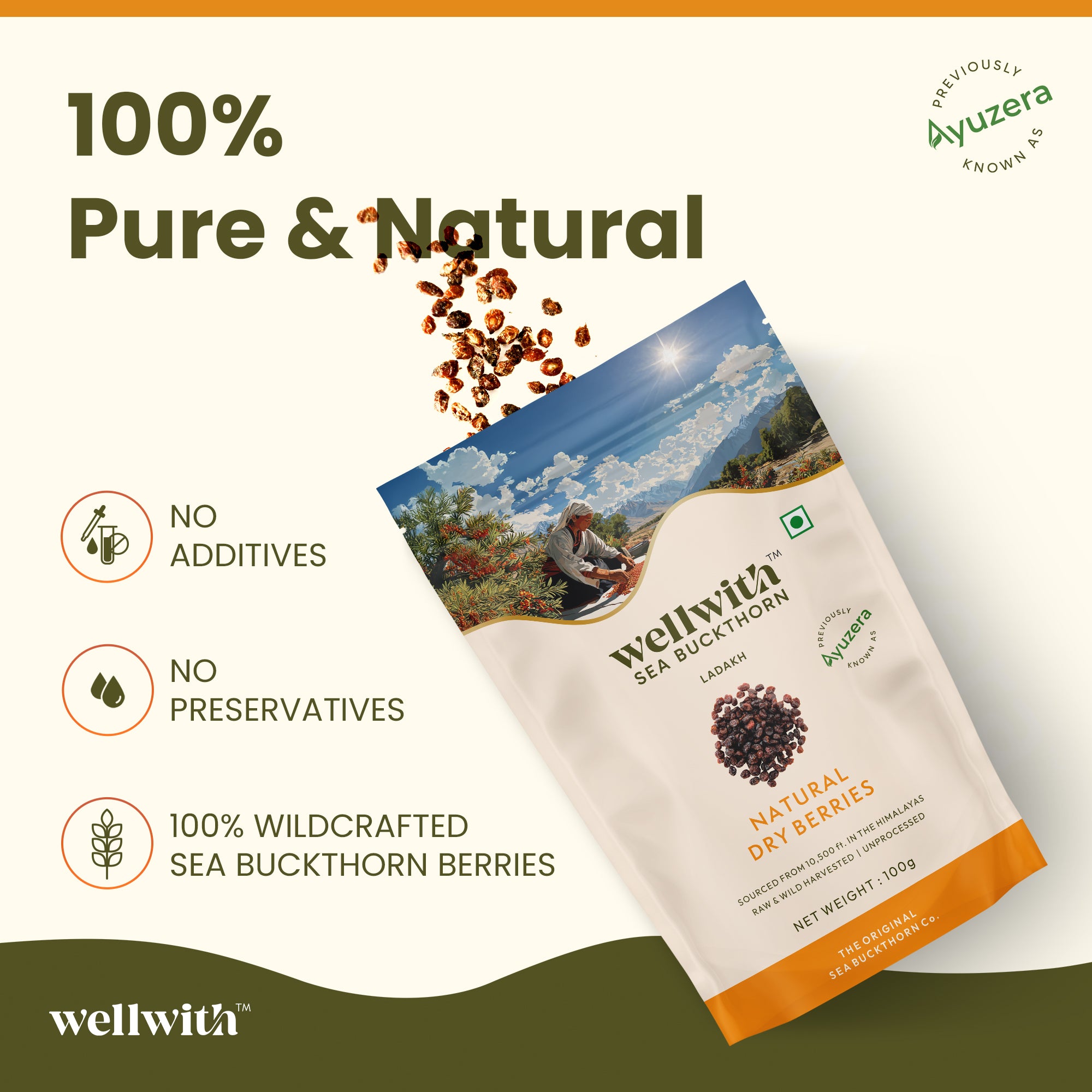 Wellwith Sea Buckthorn dry berries package with branding and product details on a light green background