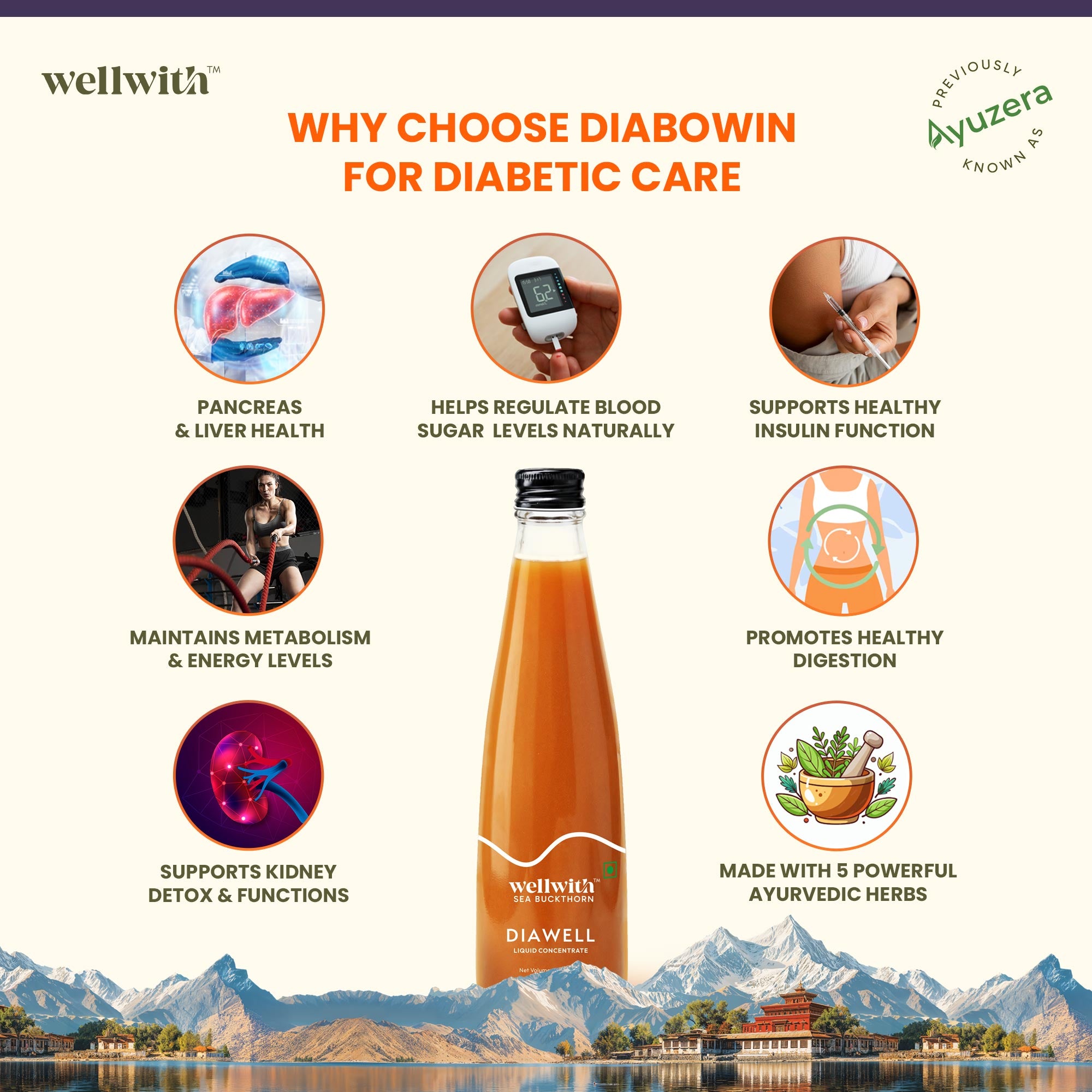 Sea Buckthorn DiaWell 300ml