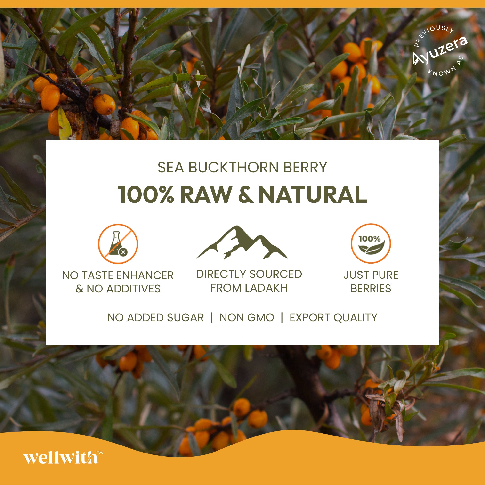 Sea buckthorn berry with branding and product information