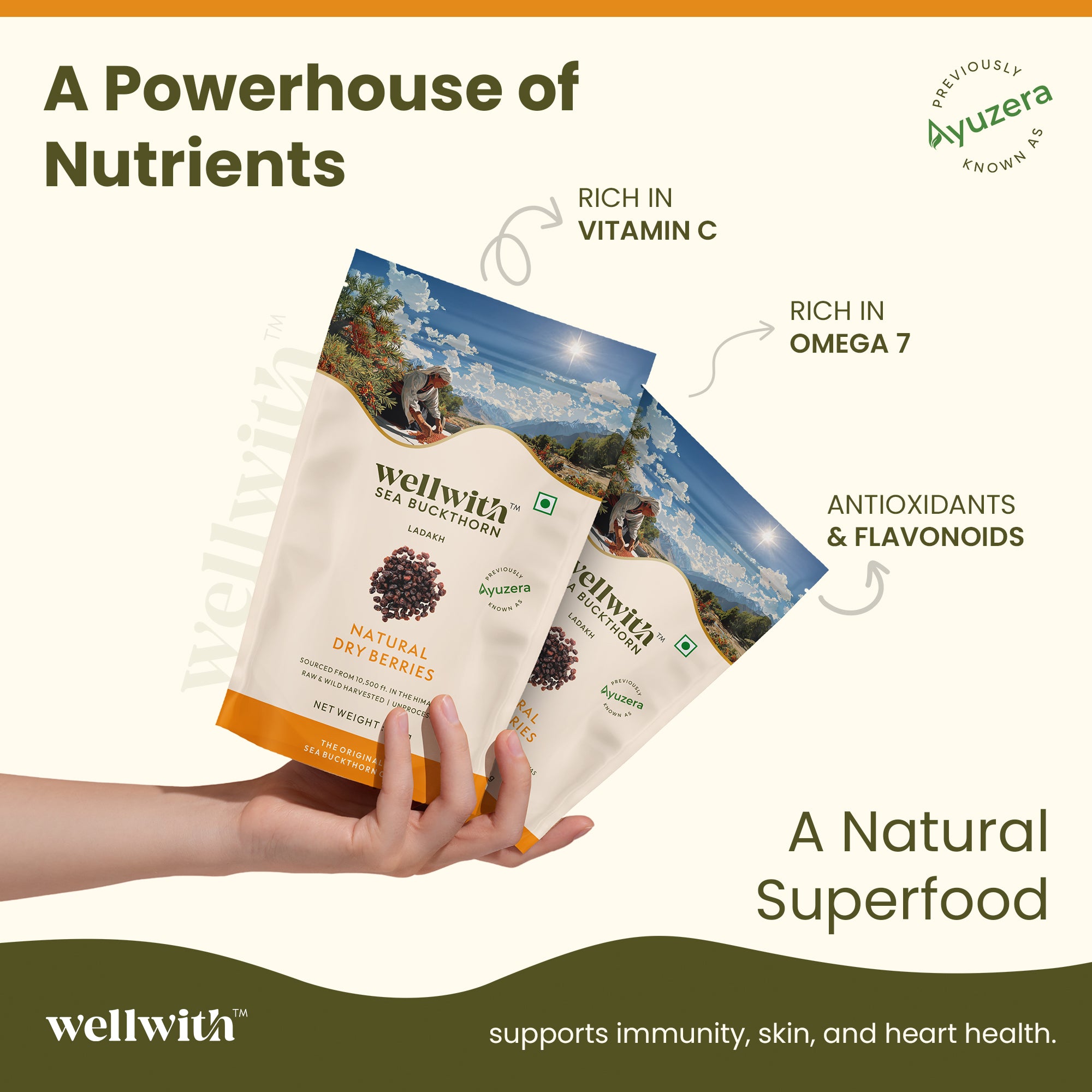 Hand holding two packages of wellwith natural dry sea buckthorn berries with product details and branding.