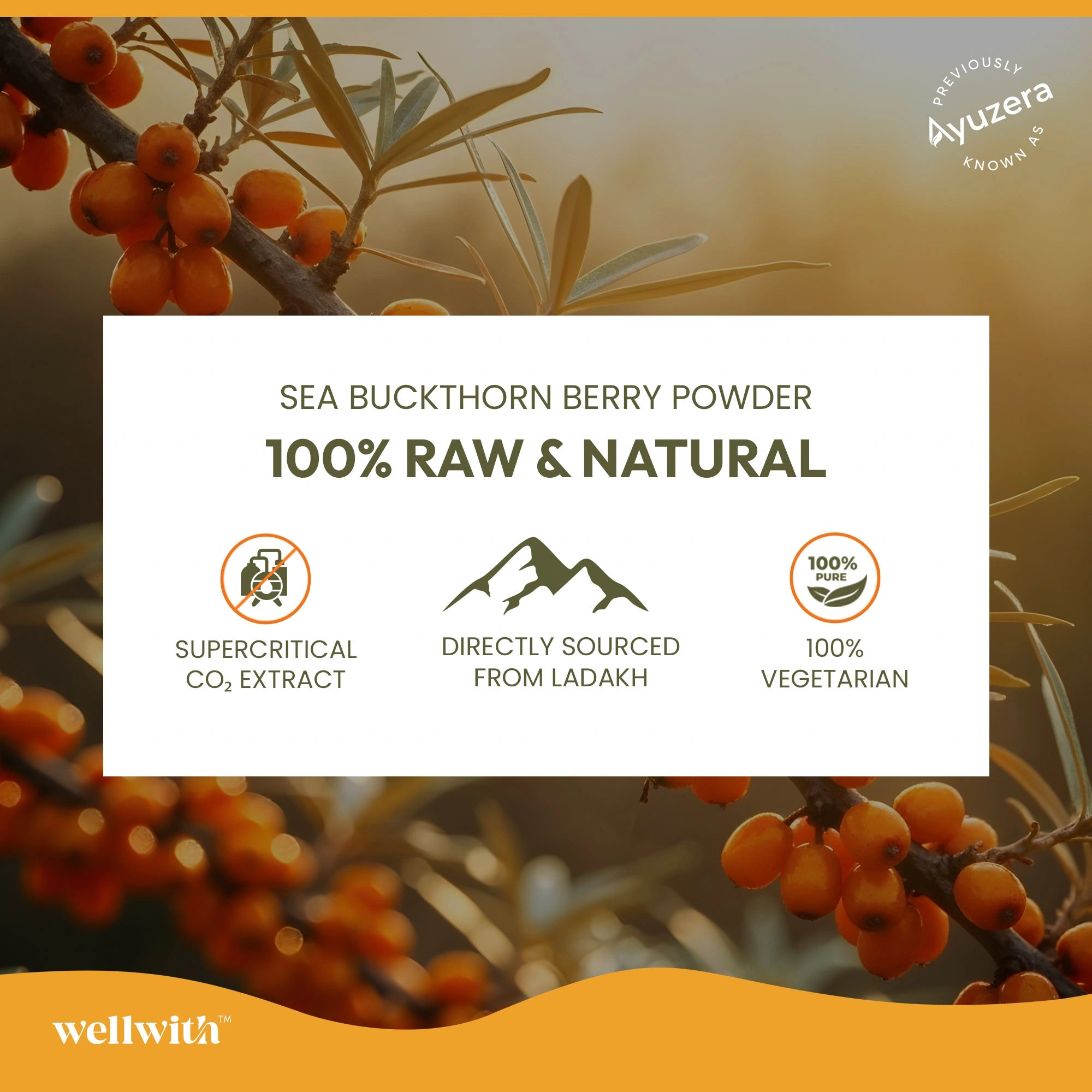 Omega 7 Sea Buckthorn Oil Capsules | For Skin, Gut And Heart Health