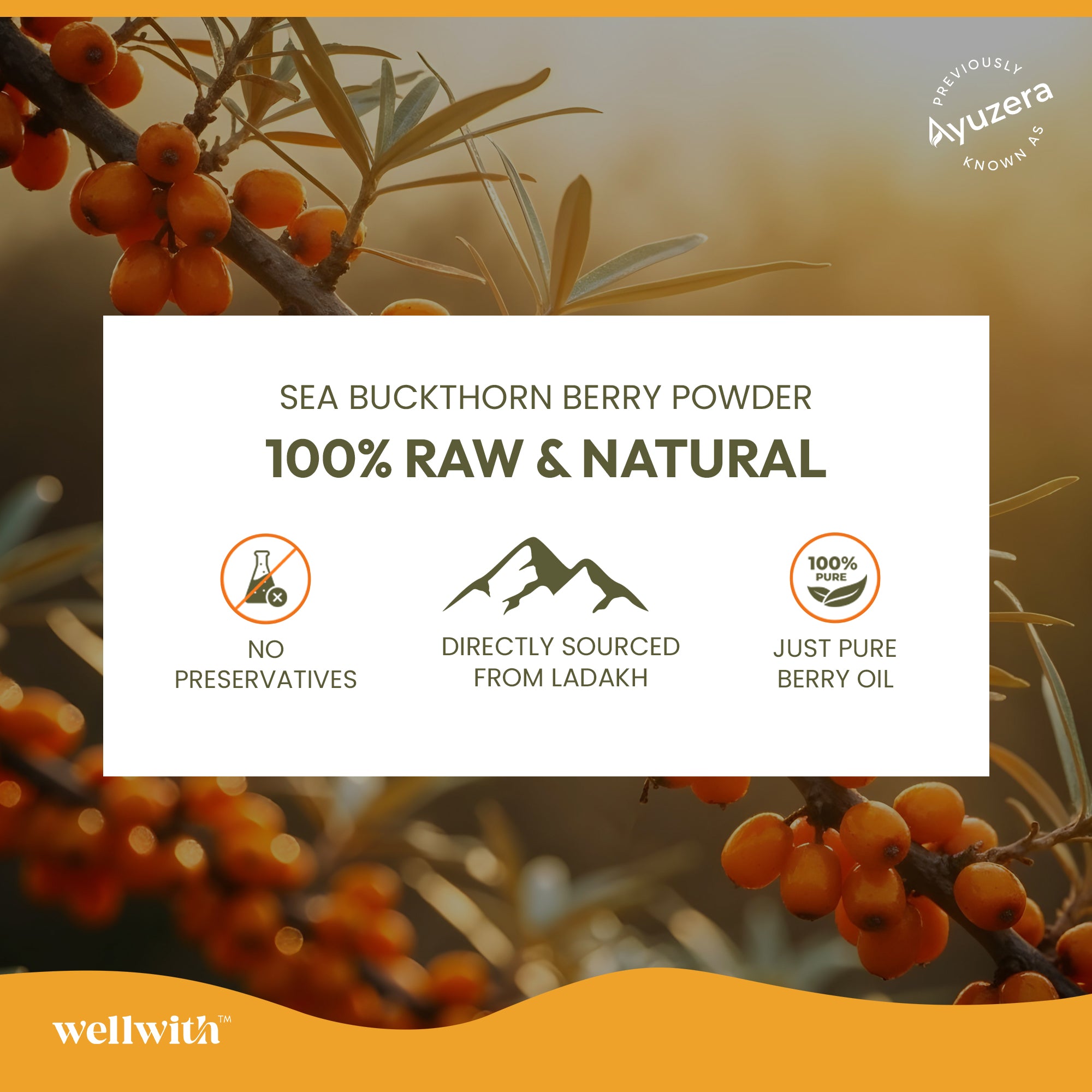 Advertisement for sea buckthorn berry powder with branding and product features.