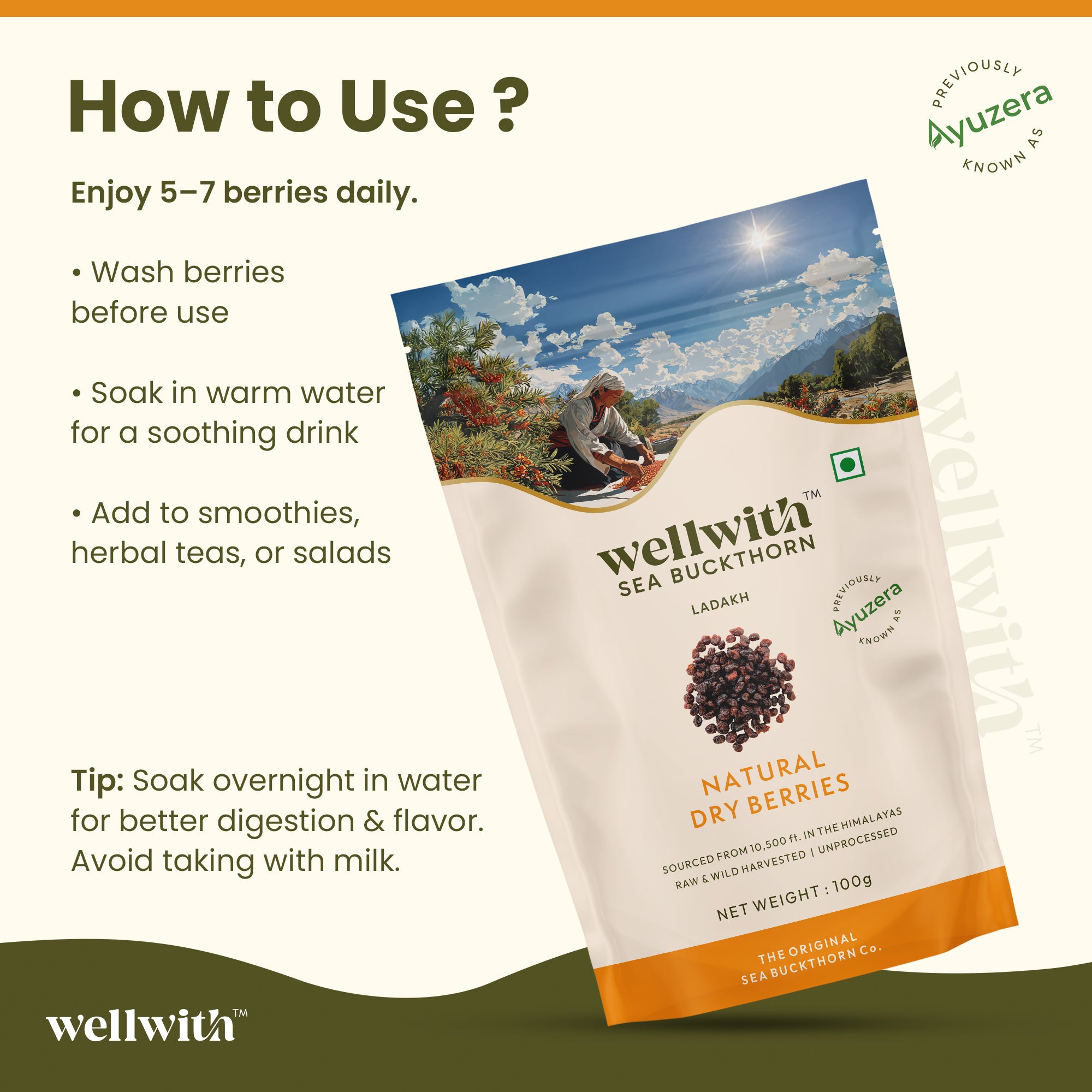 Wellwith Sea Buckthorn dry berries packaging with usage instructions on a white background.