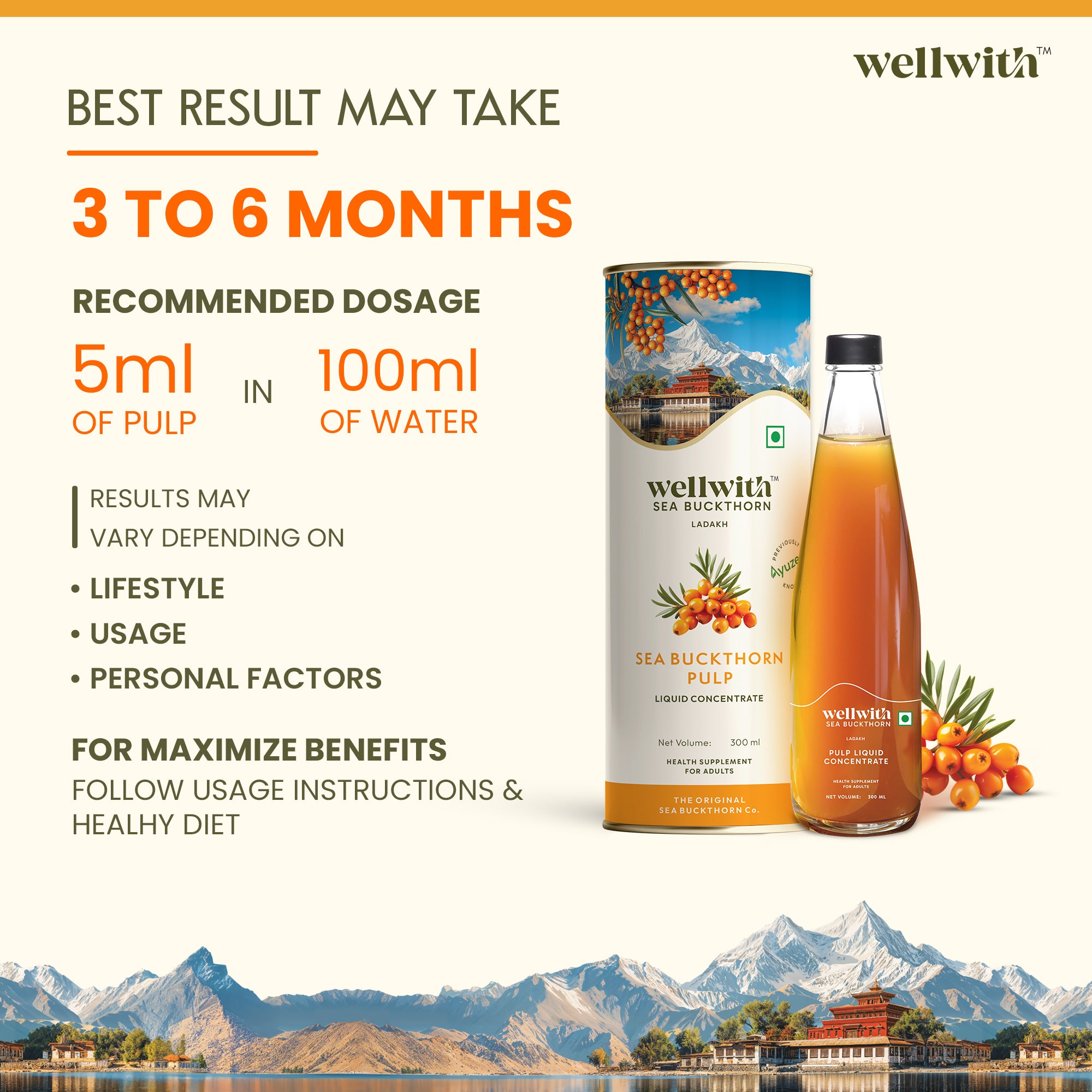 Wellwith Sea Buckthorn Pulp packaging highlights the benefits and results within the given timeframe.