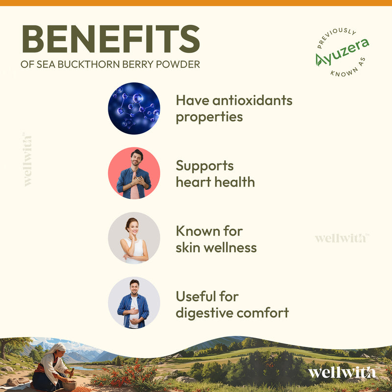 Sea Buckthorn Dry Berry Powder 100gm