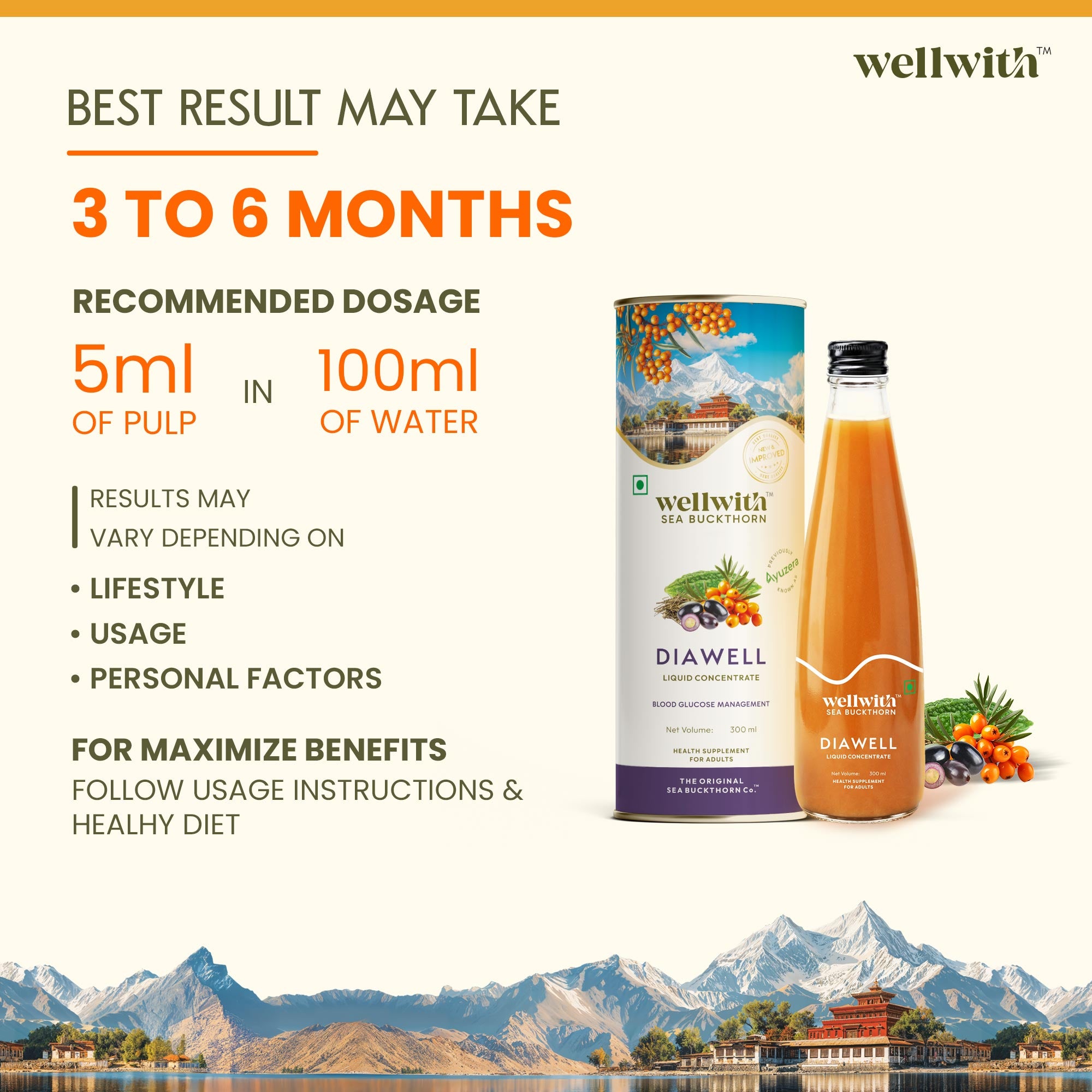 Sea Buckthorn DiaWell 300ml