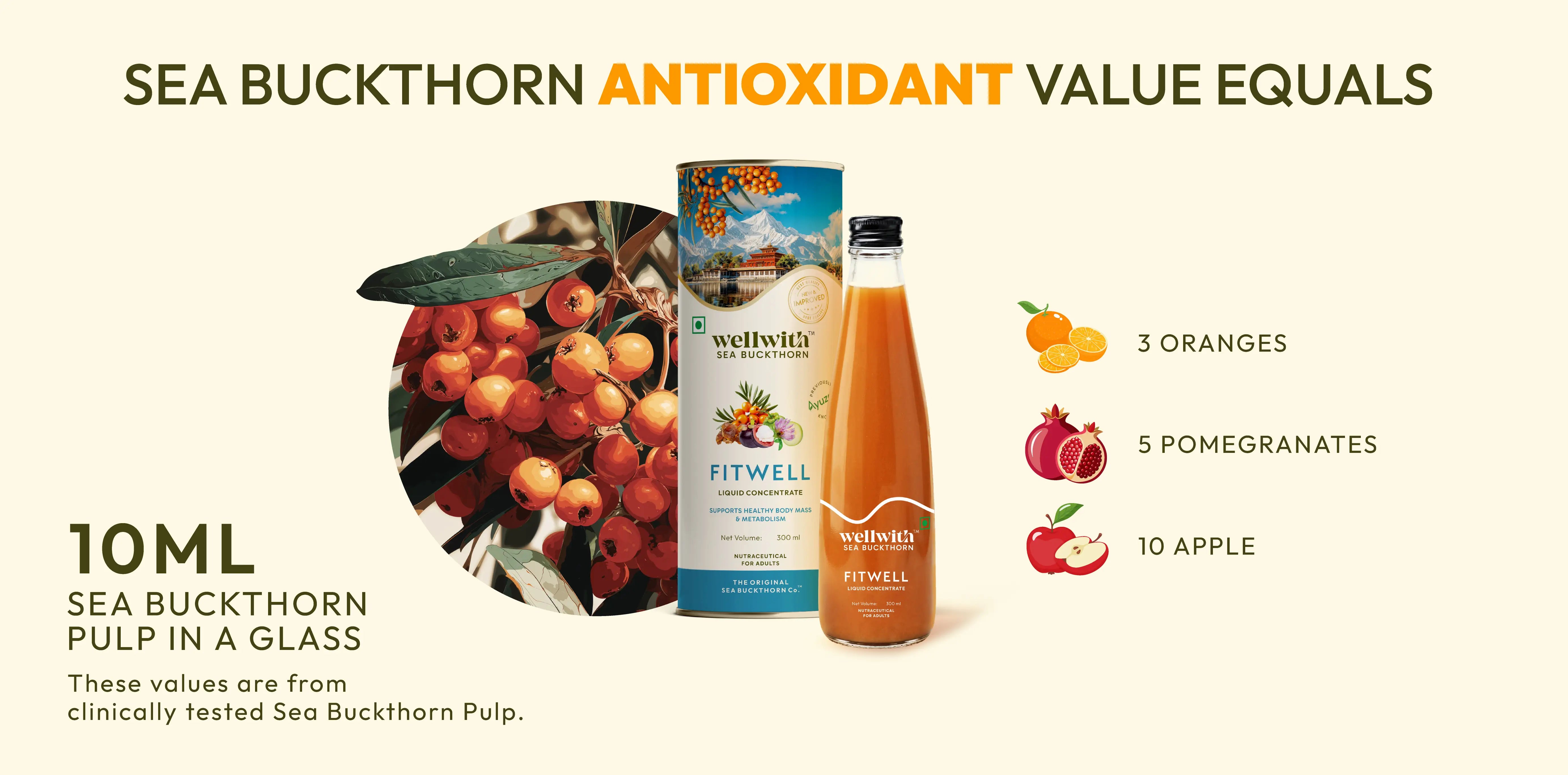 10 ml of sea buckthorn fitwell juices' antioxidant is equal to 3 oranges, 5 pomegranates, and 10 apple 