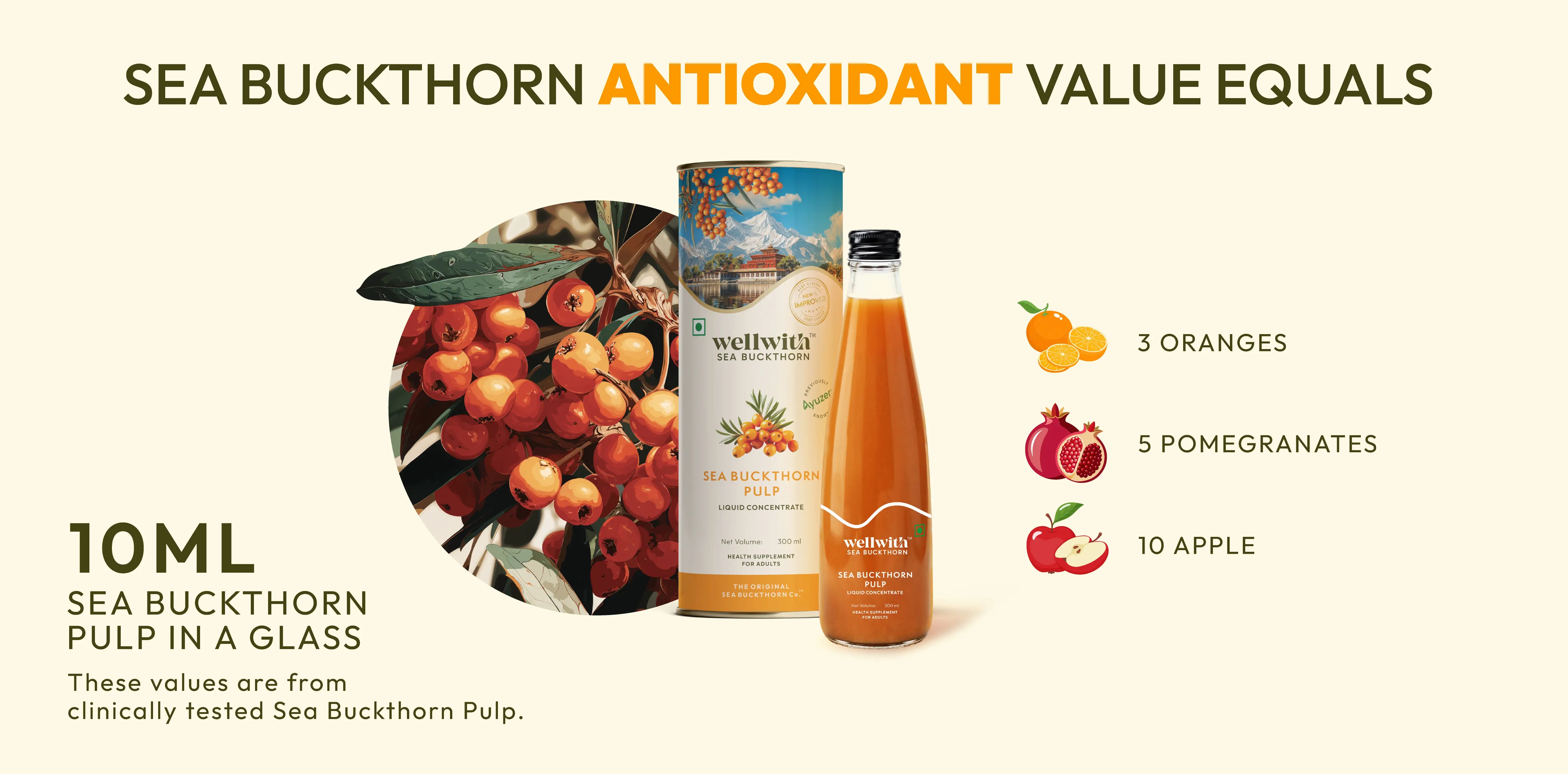 10 ml of sea buckthorn pulp's antioxidant is equal to 3 oranges, 5 pomegranates, and 10 apple 