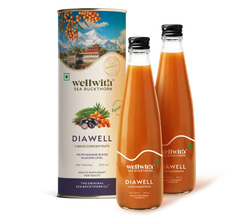 Pack Of 2