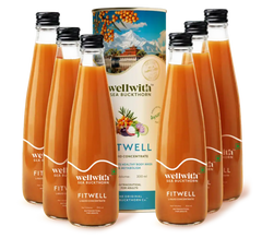 Pack Of 6