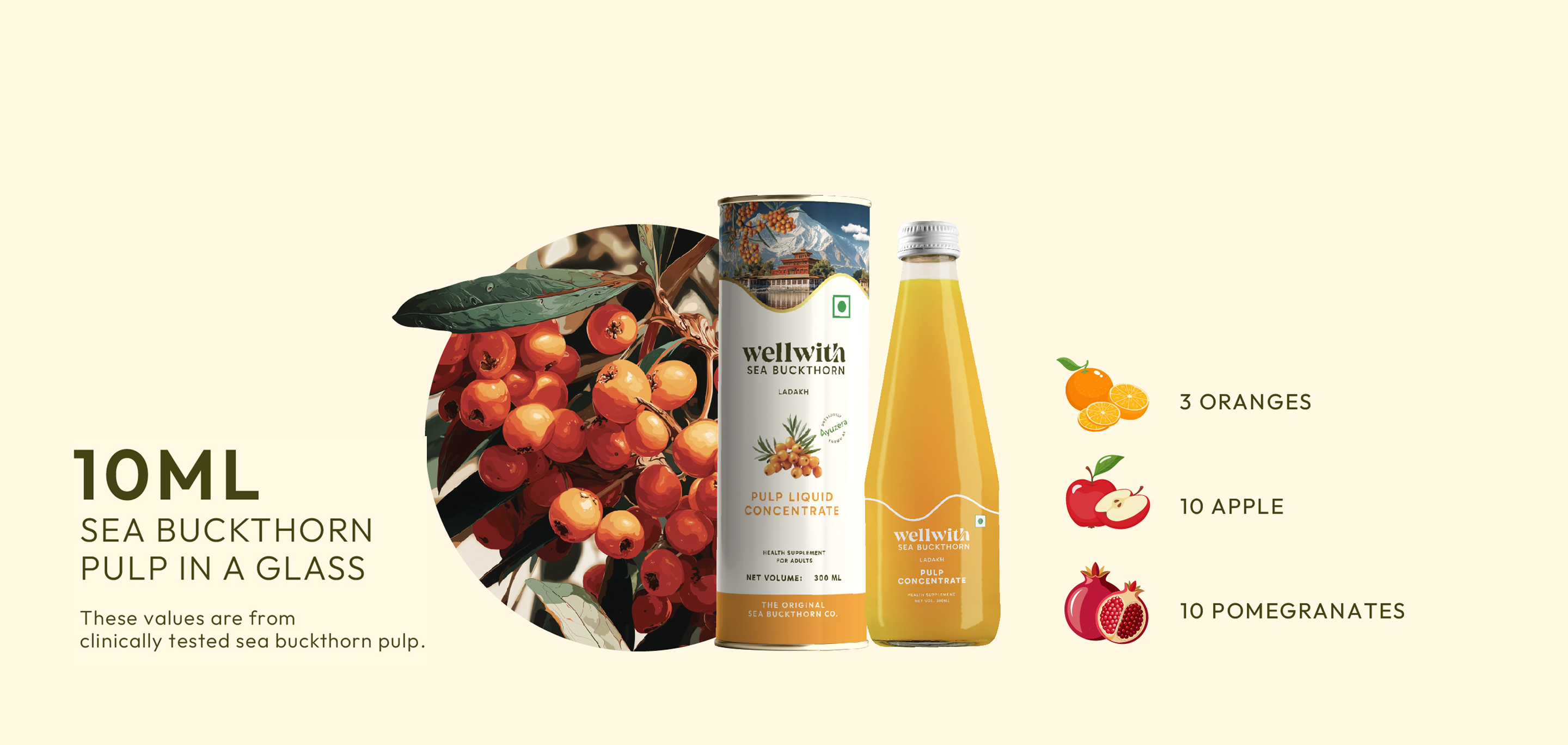 Wellwith 10ml sea buckthorn pulp concentrate comparision with other fruits