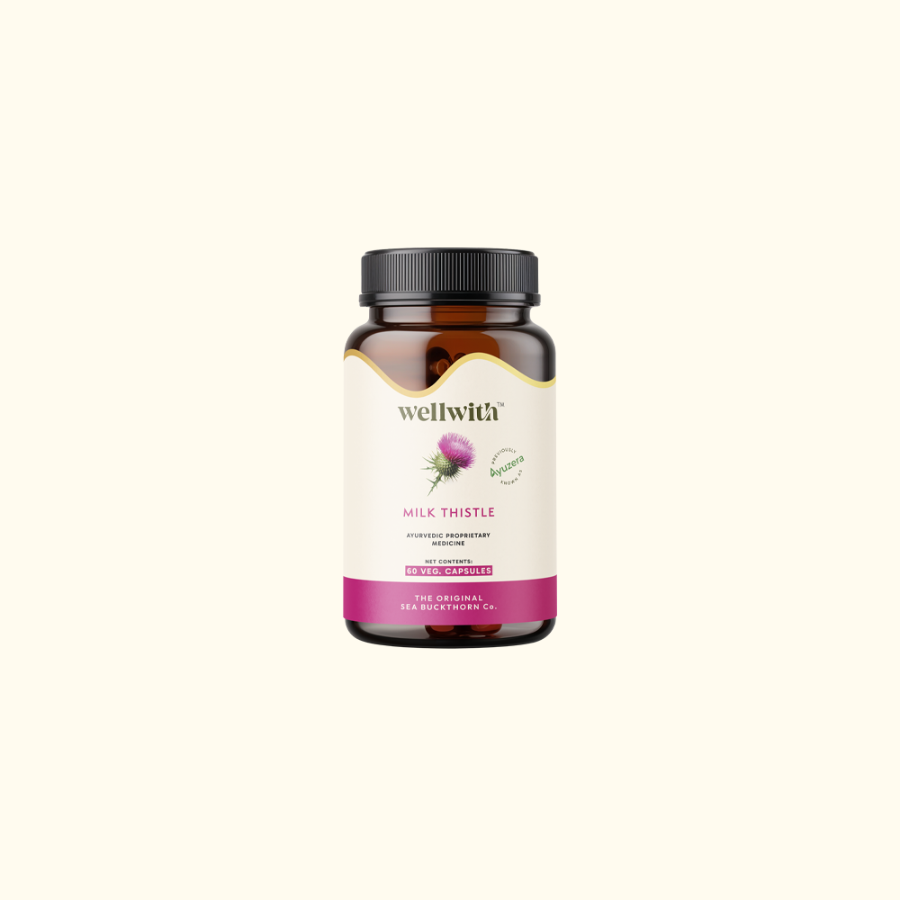 Milk Thistle Capsule