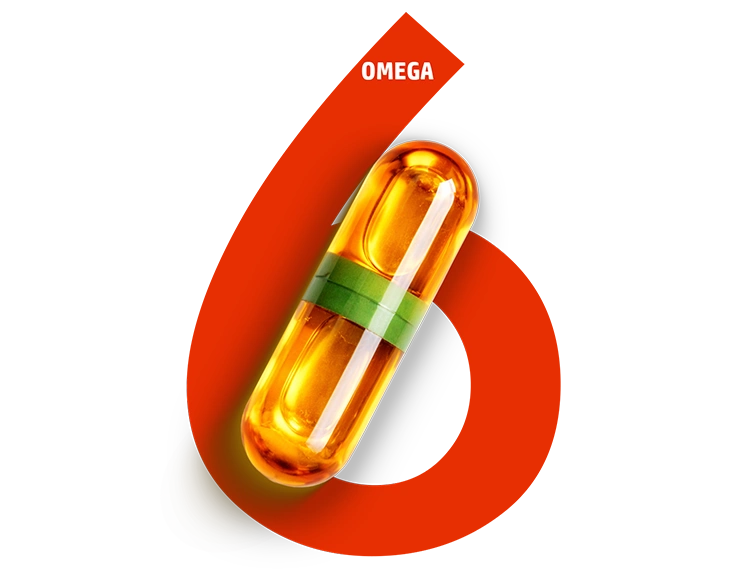 Omega 6