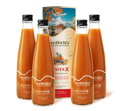 Pack Of 4