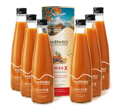 Pack Of 6