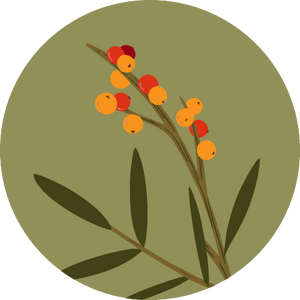 collection Image