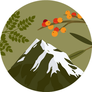 collection Image