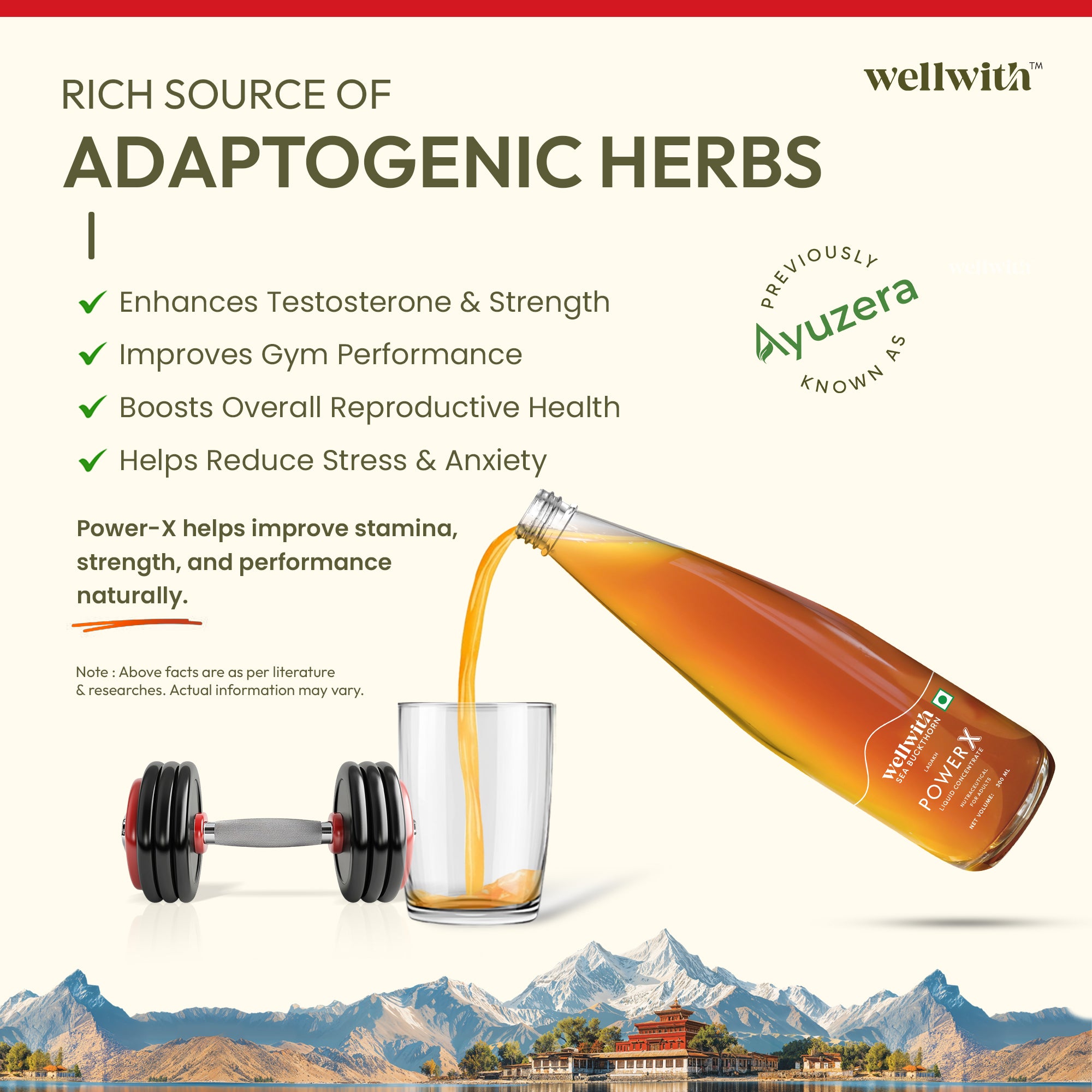 wellwith power x rich in adaptogenic herbs with a scenic background