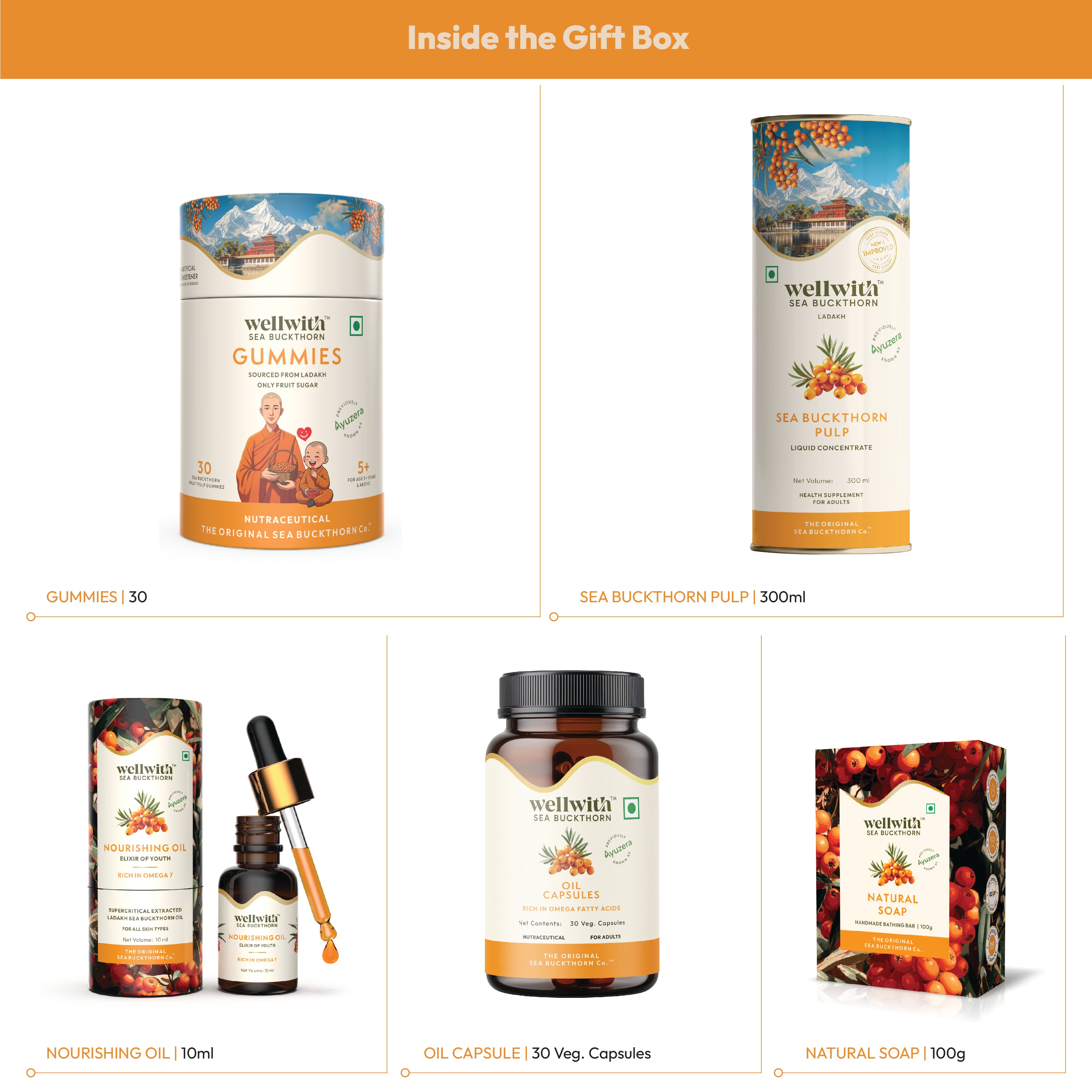 WellWith Premium Wellness Hamper
