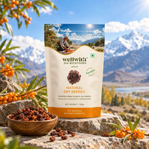 Sea Buckthorn Dry Berry 100gm