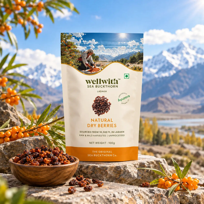 Sea Buckthorn Dry Berry 100gm